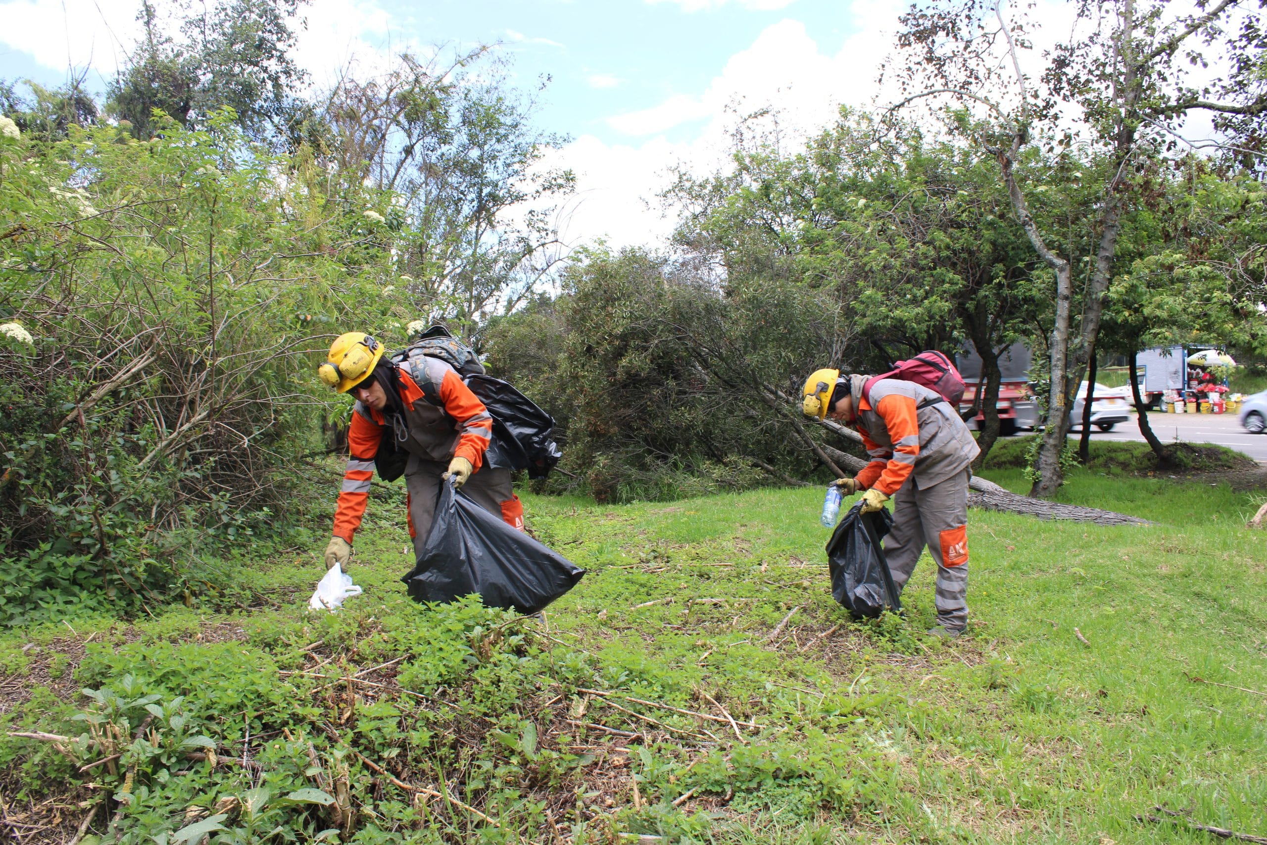 Mantenimiento en la vía - Limpieza