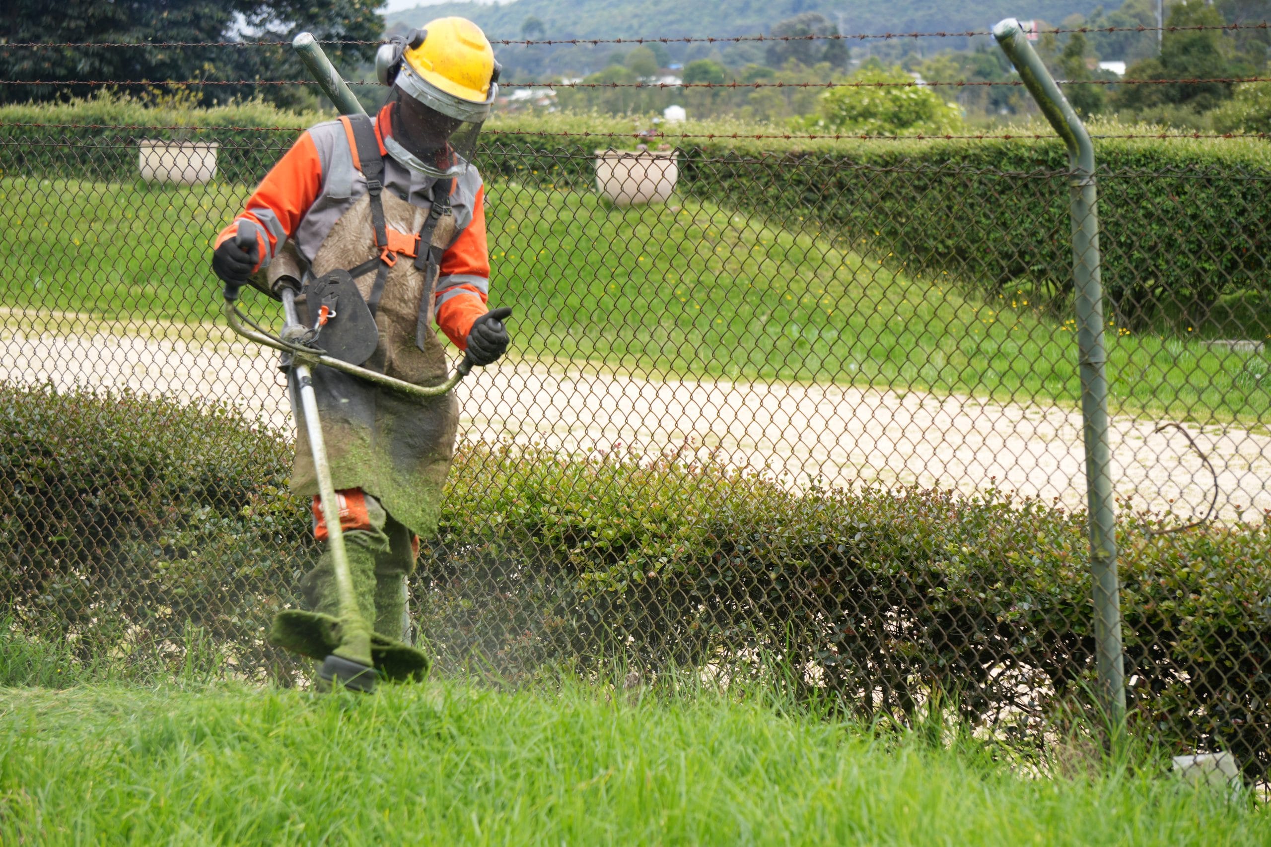 FOTOS ROCERÍA EN CRA SÉPTIMA 05-06-2025- (4)
